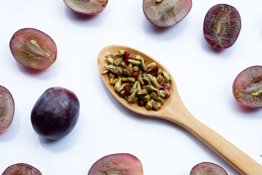 OPC Traubenkernextrakt: Antioxidative Power aus der Natur