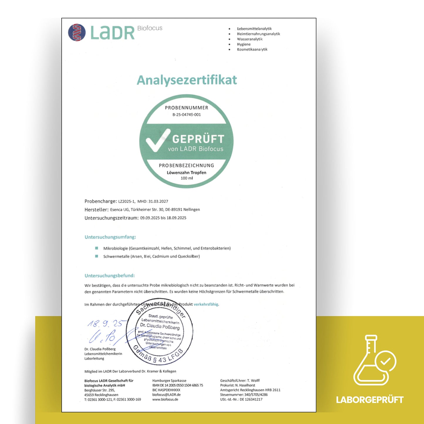 Löwenzahn Tropfen