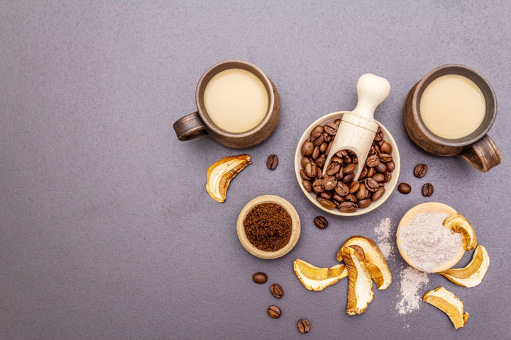 Mushroom-Trend: Lion’s Mane & Co. für Fokus und Stimmung