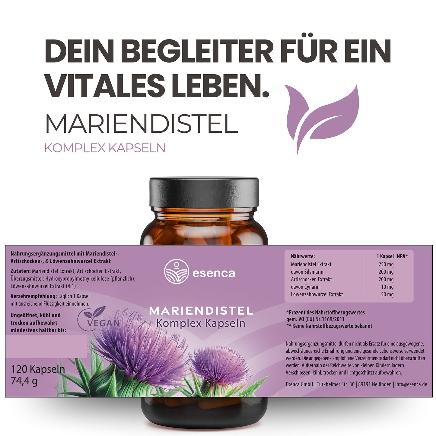 Mariendistel Komplex Kapseln