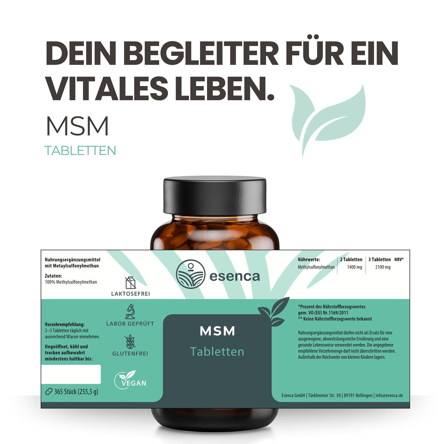 MSM Tabletten